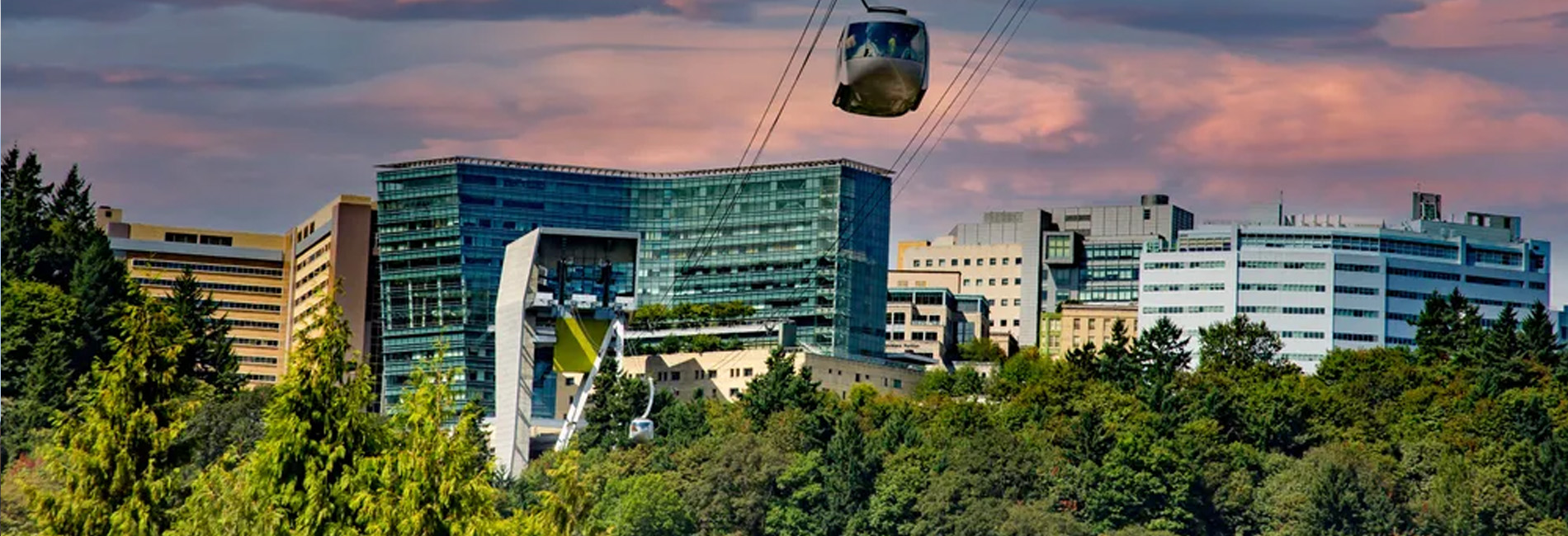 Oregon Health and Science University