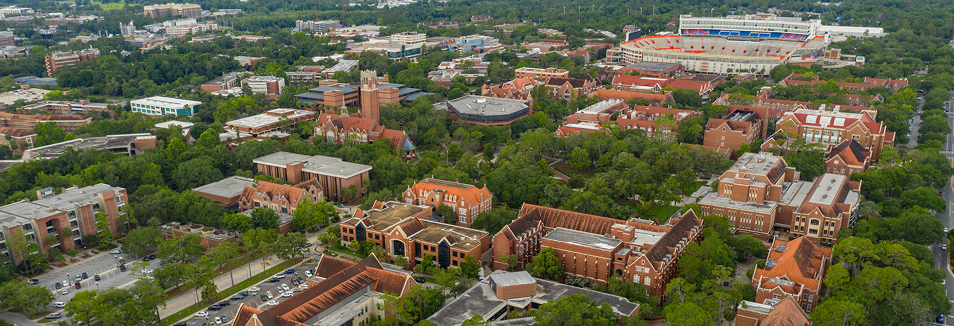 University of Florida