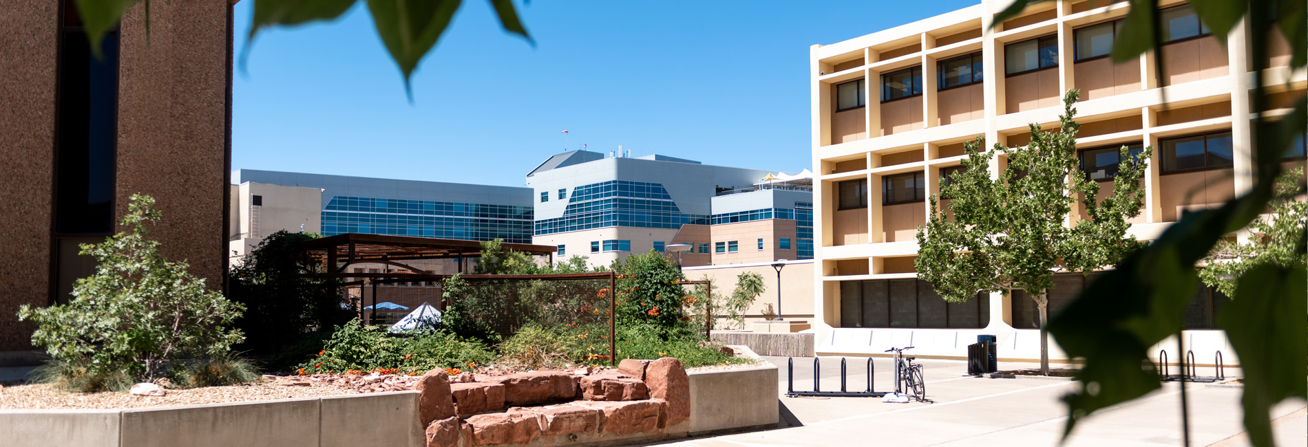 University of New Mexico Health and Health Sciences